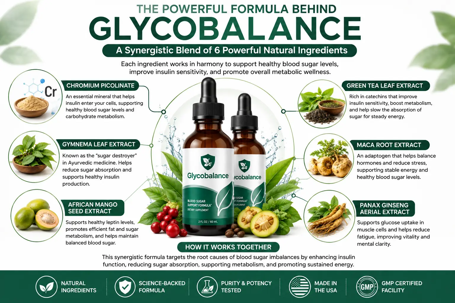 What Is GlycoBalance &mdash; formula overview