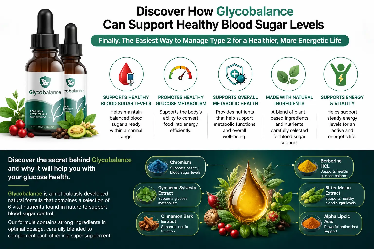 How GlycoBalance works &mdash; five mechanism overview